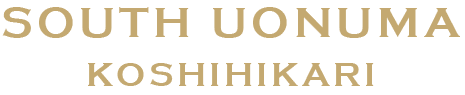 SOUTH UONUMA KOSHIHIKARI
